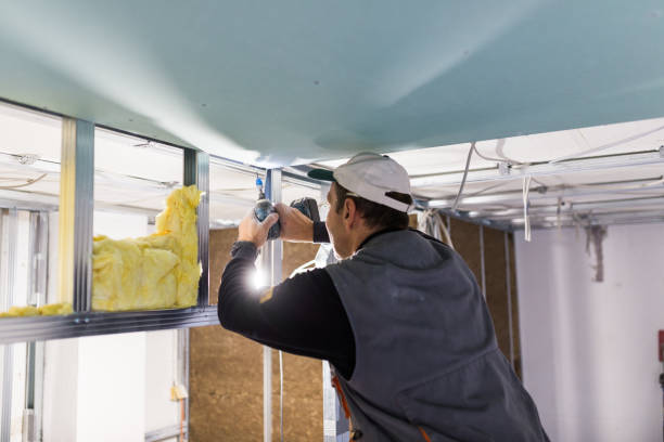 Best Professional Insulation Contractor  in Hobart, WA