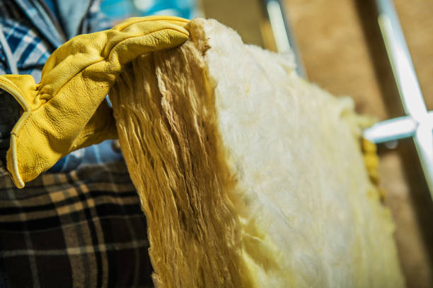 Best Insulation Repair Services  in Hobart, WA